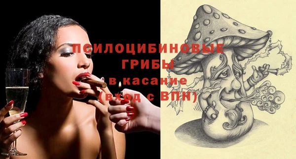 прущие грибы Алексеевка