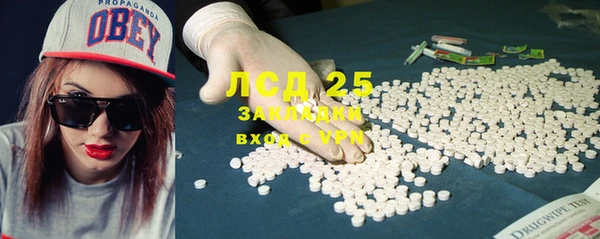 стаф Алексин