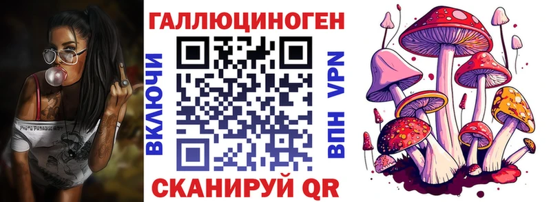 нарко площадка Telegram  Гусь-Хрустальный  Псилоцибиновые грибы Magic Shrooms 