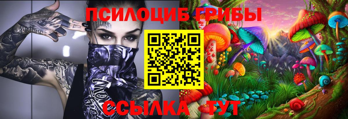Псилоцибиновые грибы GOLDEN TEACHER  Псилоцибиновые грибы мухоморы  Вход с VPN  Гусь-Хрустальный 